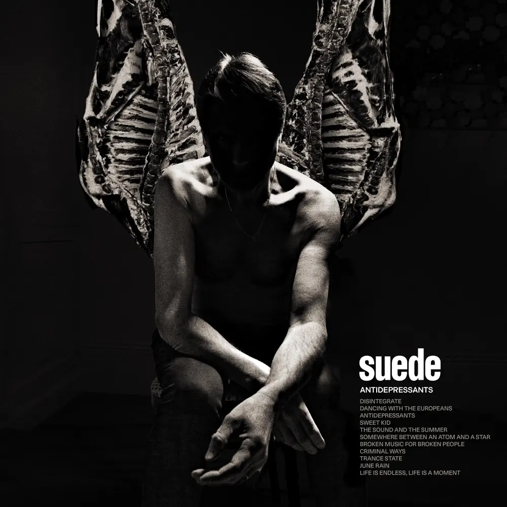 Antidepressants - Suede
