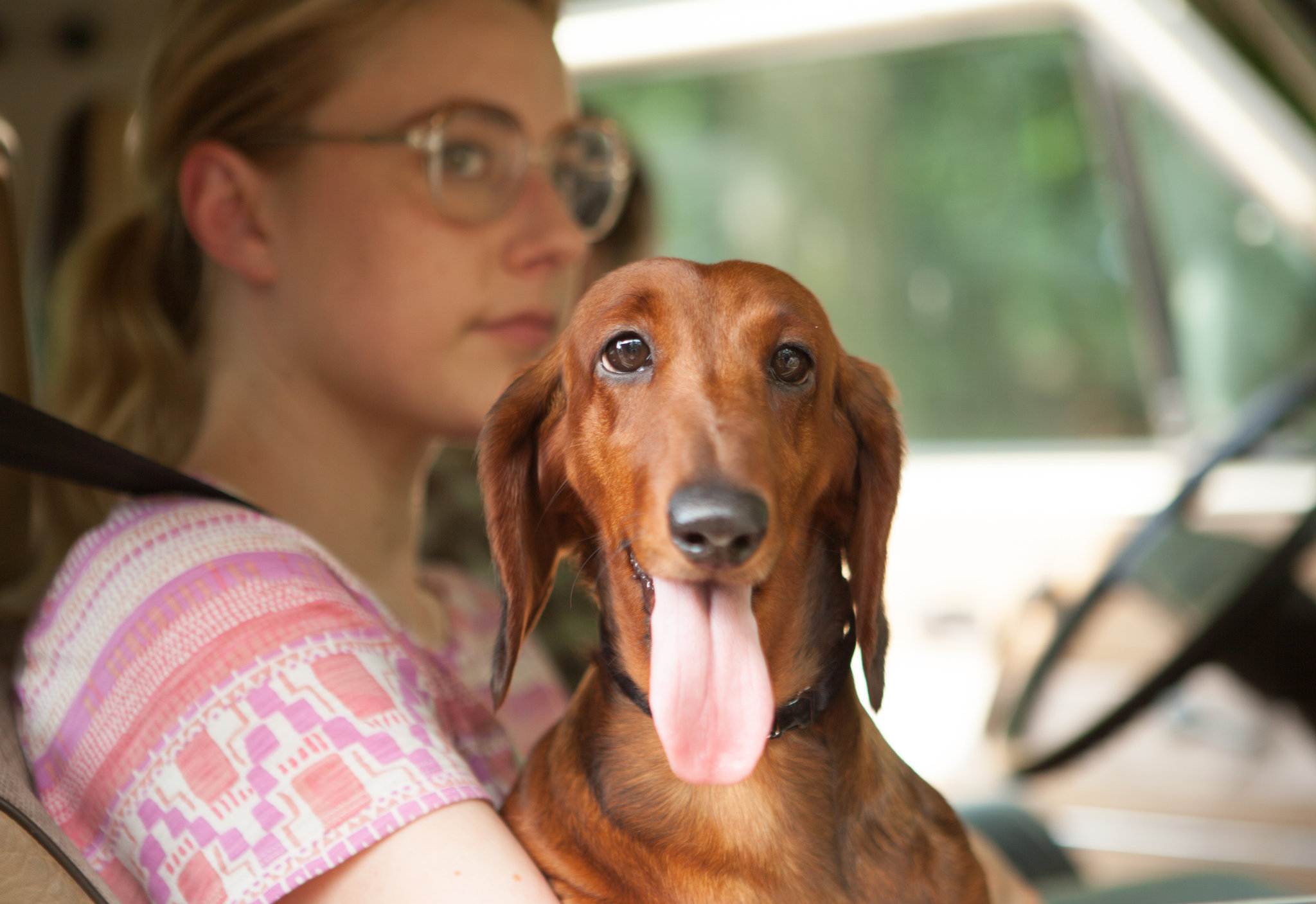 Wiener-Dog - Todd Solondz