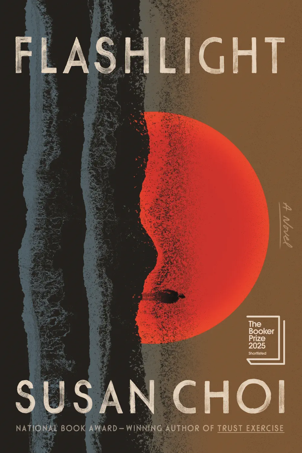 Flashlight - Susan Choi