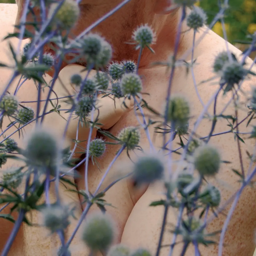 Altruism - Dale Cornish