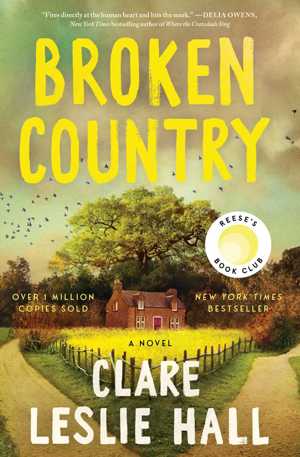 Broken Country - Clare Leslie Hall