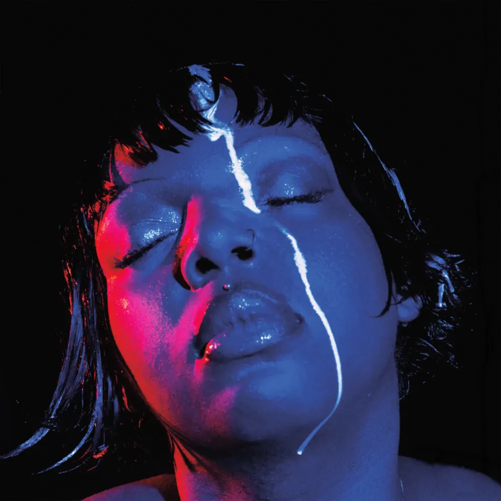 hooke’s law - KeiyaA