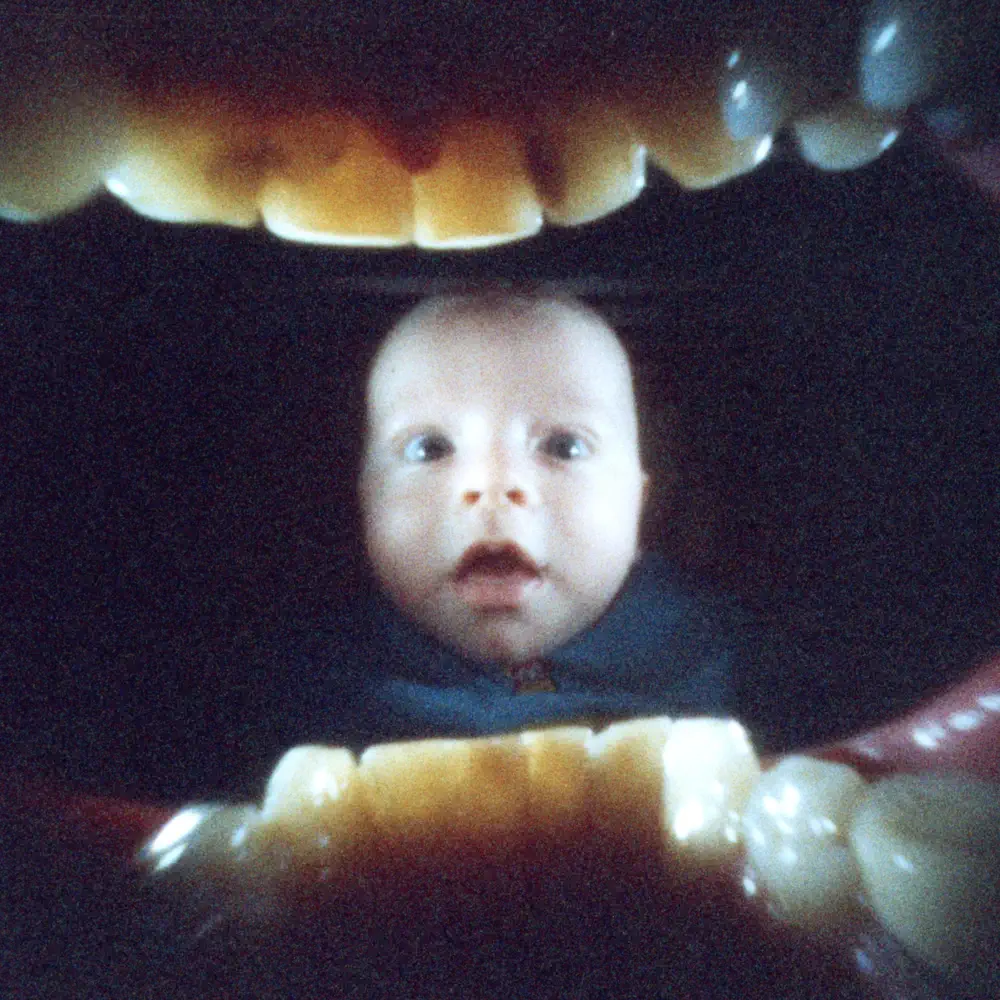 Boylife - Michael Seyer